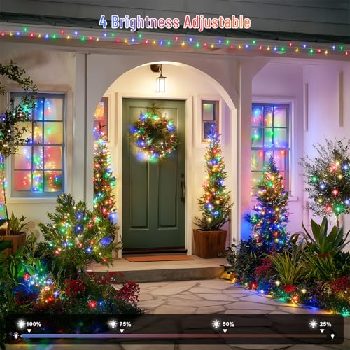 132ft 400 LED Christmas Lights Indoor Outdoor Waterproof (132 Foot)