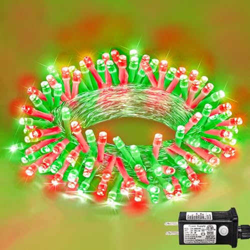 40FT 120 LED String Lights Indoor