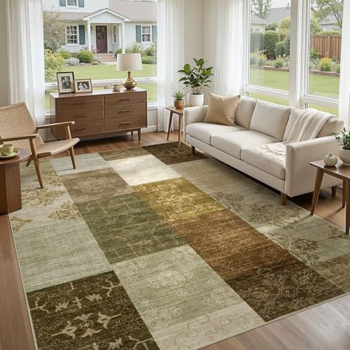 6x9 Area Rug for Living Room (56 Sq Ft)