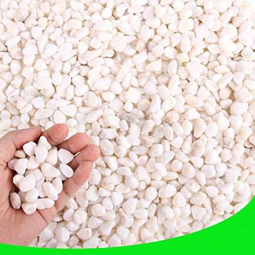Decorative Garden Pebbles (48 Ounce)