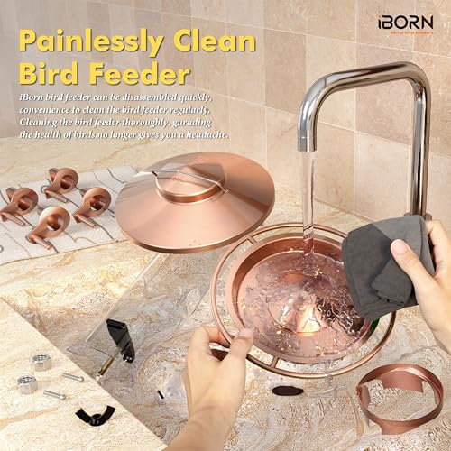 Bird Feeders for Outdoors Metal Chew Resistant