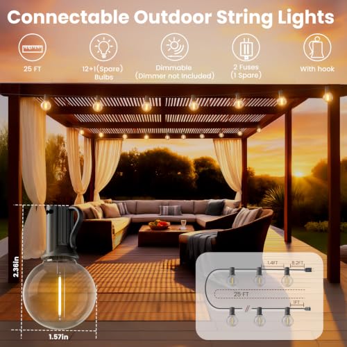 Outdoor String Lights 25 FT Waterproof (25 Foot)