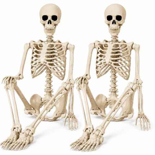 2 Pack 36" Halloween Skeleton