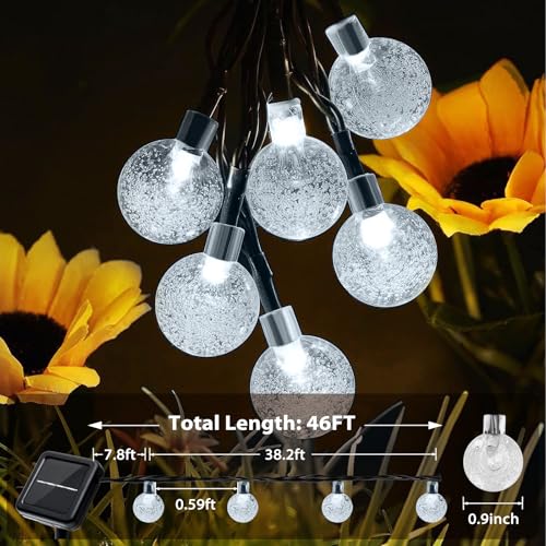 Outdoor Solar String Lights (2 Count)