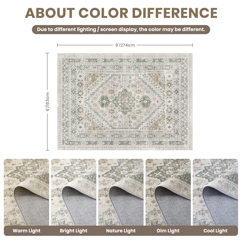 6x9 Area Rugs for Living Room (54 Sq Ft)