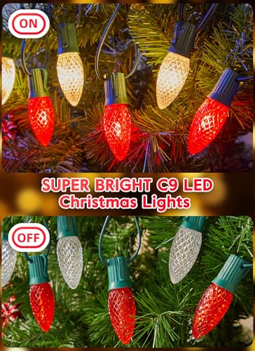 C9 Christmas Lights Outdoor