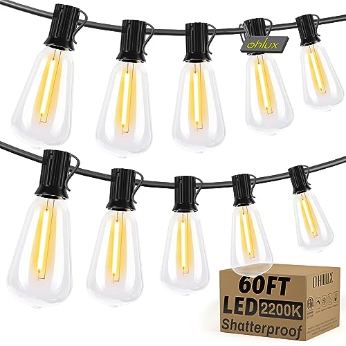 Bistro String Lights Outdoor (60 Foot)