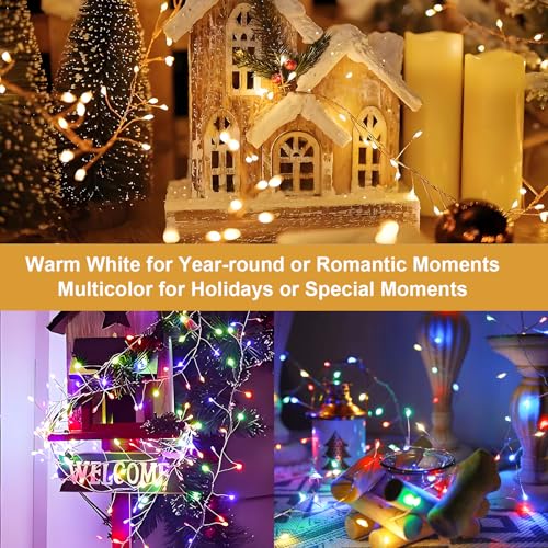 Dual Color 10Ft 200 LED Fairy Lights Battery Operated with Remote Timer (200 Count)