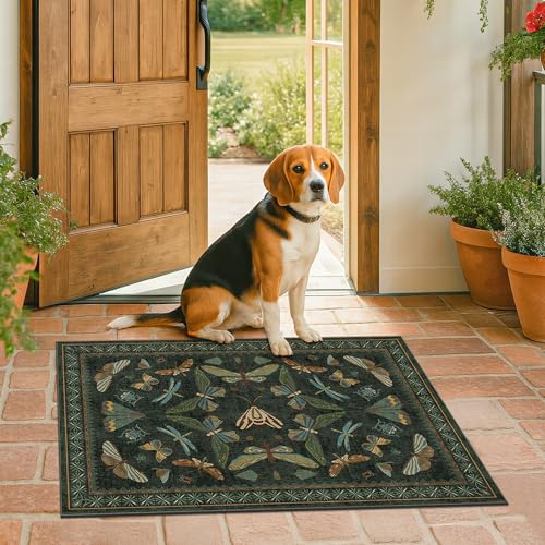 2x3 Entry Way Rugs Indoor (6 Sq Ft)