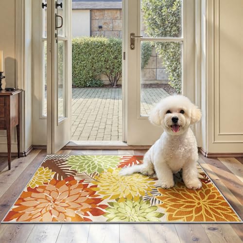 Outdoor Rug Waterproof (6 Sq Ft)