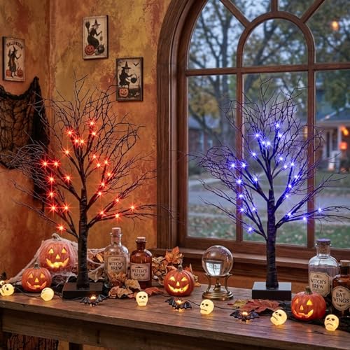 Halloween Decorations Indoor (2 Count)