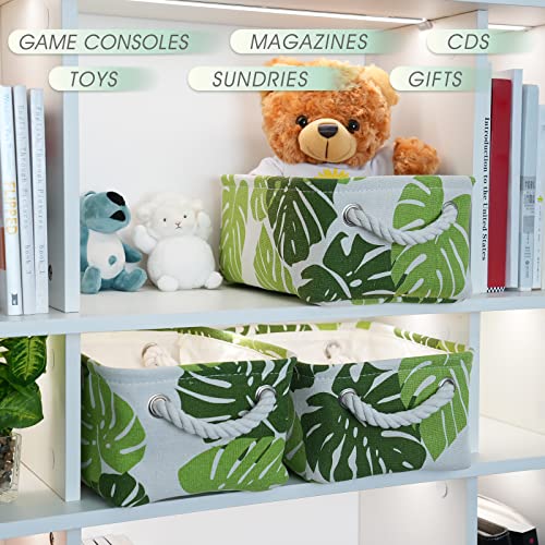 Storage Cubes (6 Count)