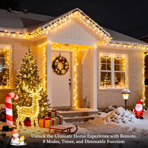 400 LED Christmas Lights Outdoor (132 Foot)
