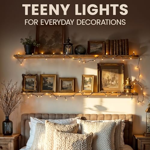 Incandescent Teeny Lights 50 ct
