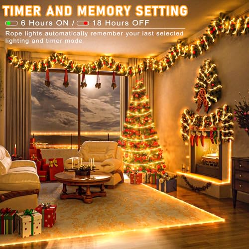 66FT 200 LED Rope Lights for Outside