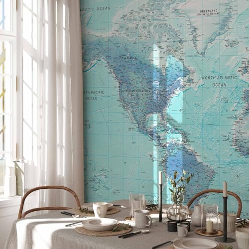 Wall Mural World Map 173x124 in (149.51 Sq Ft)