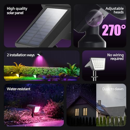 ODS TianZi Path RGB 6PK US (6 Count)