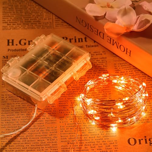2 Pack 65.6 Ft. Battery Operated Outdoor String Lights with Remote & Timer (2 Count)
