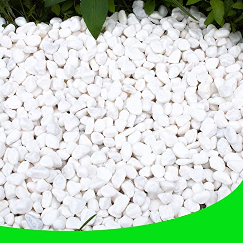White Pebbles for Plants Garden 18 lb White Rocks Gravel Decorative Stones Landscaping Vase Fillers 1