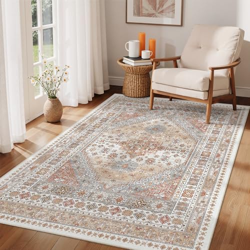 4x6 Area Rug for Entryway