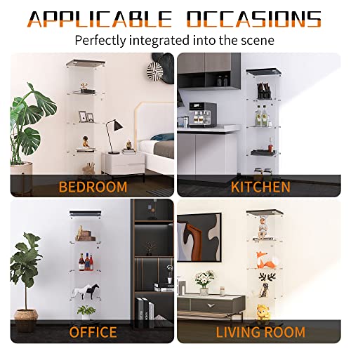 Black Glass Display Cabinet