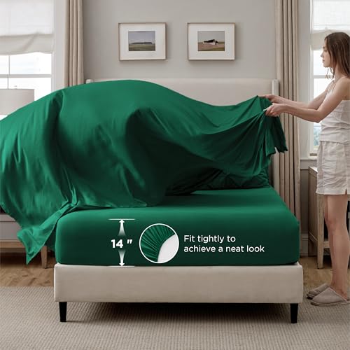 7 Piece Full Size Comforter Sets & Sheets