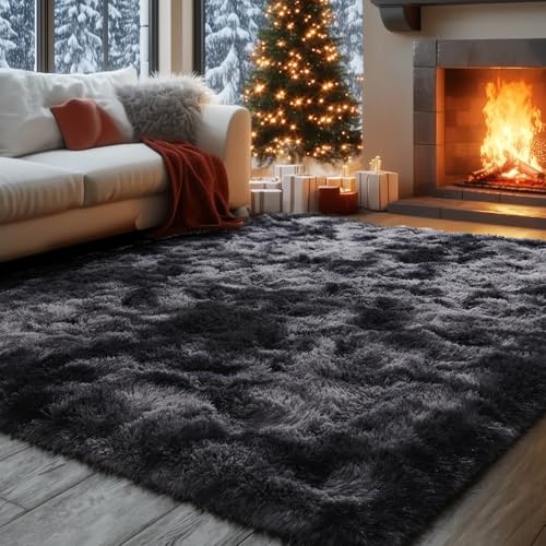 Rugs for Living Room (24 Sq Ft)