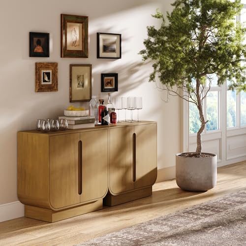 Joey Mid Century Modern Storage Cabinet (2 Count)