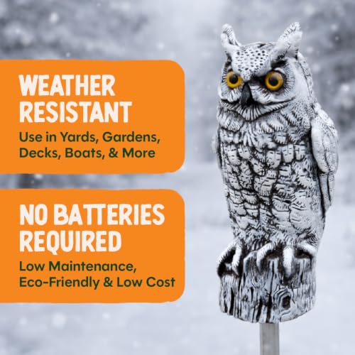 Fake Owl Decoy to Scare Birds Away from Gardens