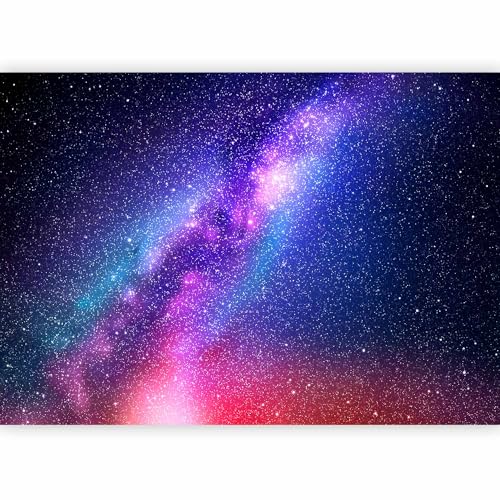Premium Wall Mural Wallpaper (6 Count)