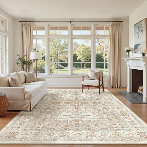 6x9 Area Rugs for Living Room