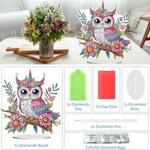 Diamond Painting Kits for Adults Beginners