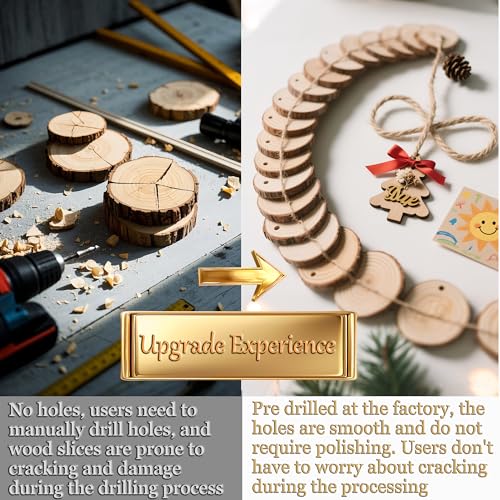 20PCS Pre Drilled Wood Slices with Holes (20 Count)