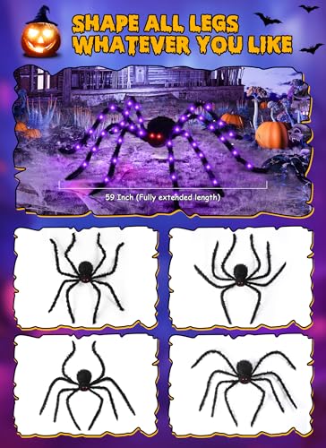 Halloween Decor (Purple & Black)