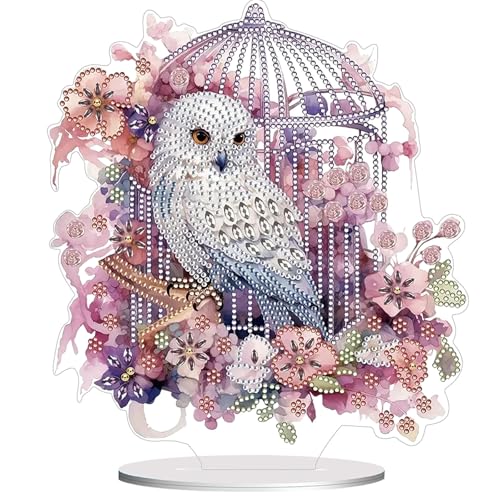 Diamond Painting Kits for Adults Beginners