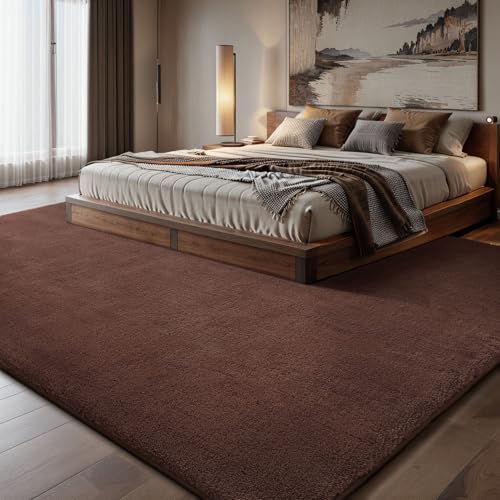 6x9 Area Rugs for Living Room Bedroom