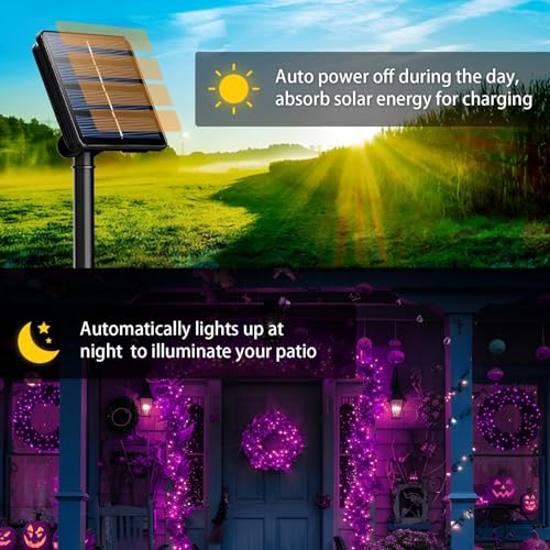 Solar String Lights Outdoor (6 Count)