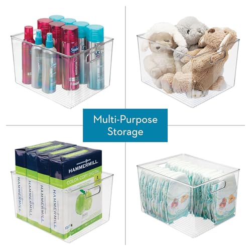 Storage Bin with Handles