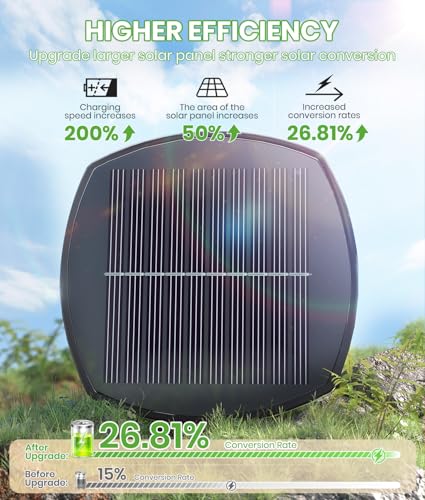 Bright Solar Pathway Lights (12 Count)