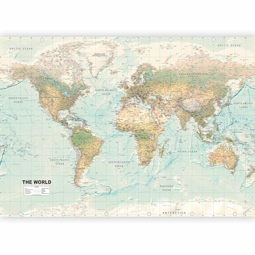 Wall Mural World Map 116x83 in (66.41 Sq Ft)