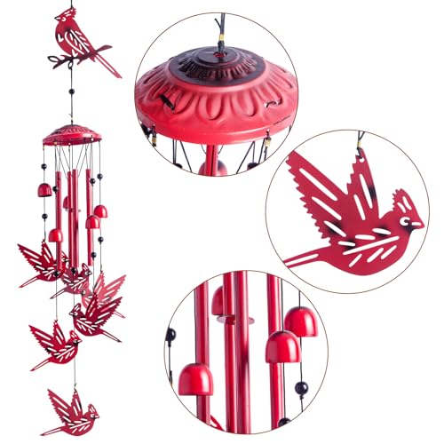 Cardinal for Women