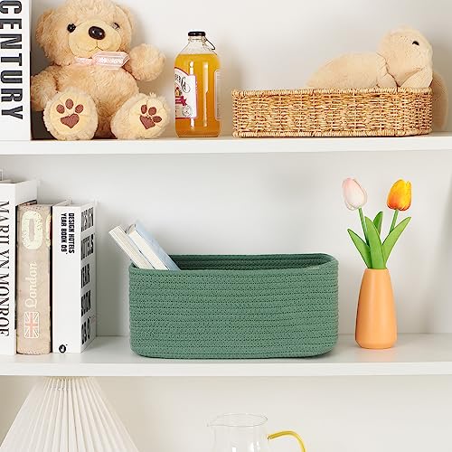 Small Storage Baskets for Organizing (3 Count)