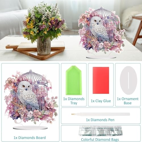Diamond Painting Kits for Adults Beginners