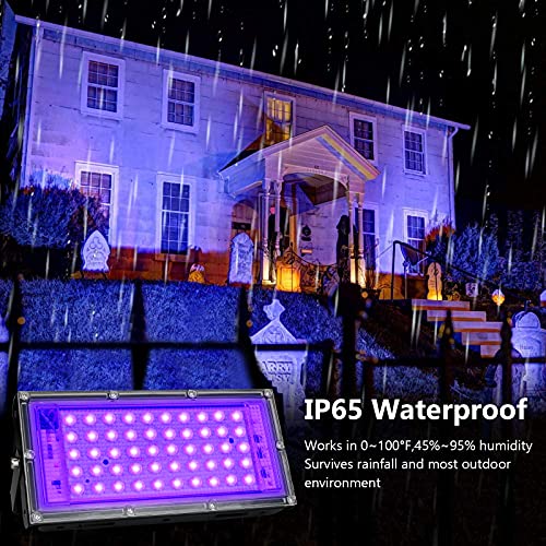 2 Pack 50W Black Lights (2 Count)