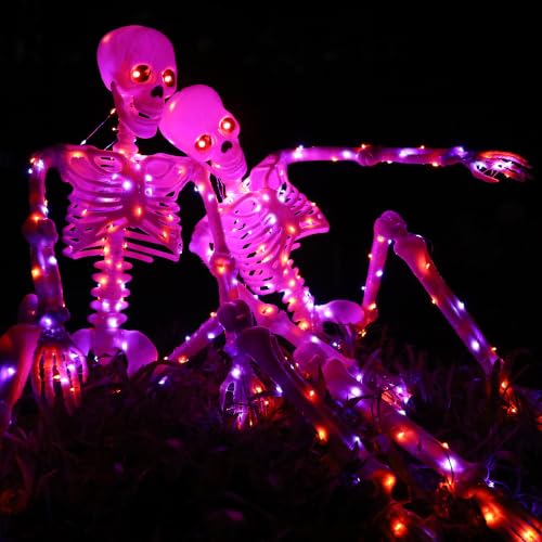 Halloween Decorations Outdoor Skeletons Set (Orange/Purple)
