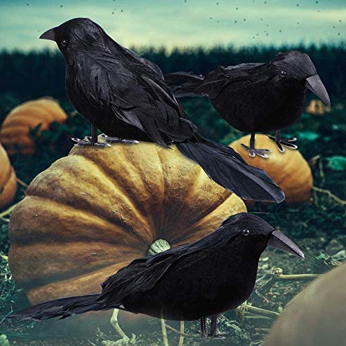 6 Pack Halloween Black Feathered Crows