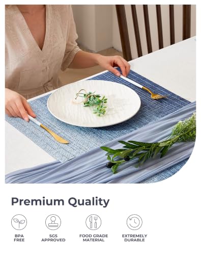 Gradient Blue Woven Placemats Set of 8 (3 Count)