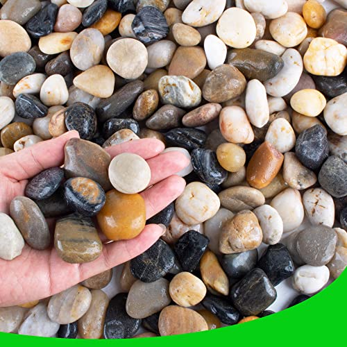 Pebbles for Plants 3 lb Natural Garden Decorative Stone Outdoor Aquariums Gravel 1