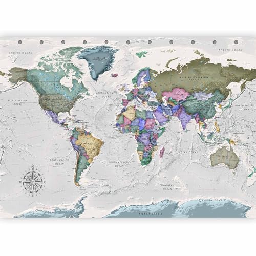 Wall Mural World Map 154x110 in (118.18 Sq Ft)