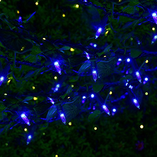 Blue Christmas Lights (33 Foot)